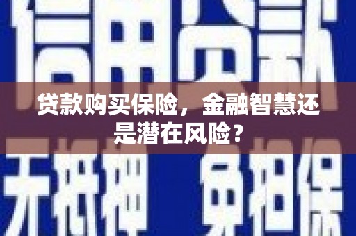 正阳贷款购买保险，金融智慧还是潜在风险？