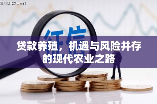 漯河贷款养殖，机遇与风险并存的现代农业之路
