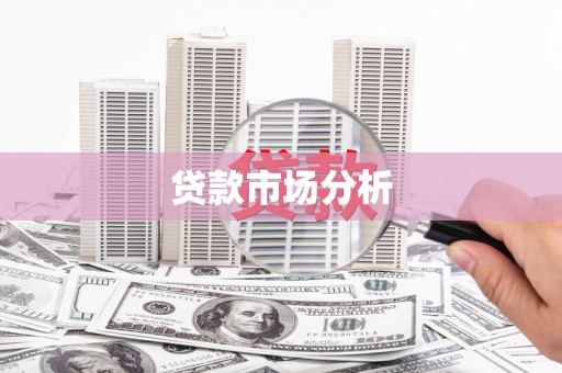 滨海贷款市场分析