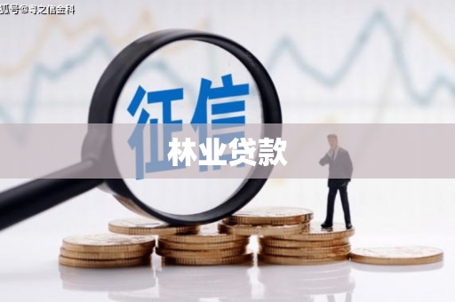兴宾林业贷款