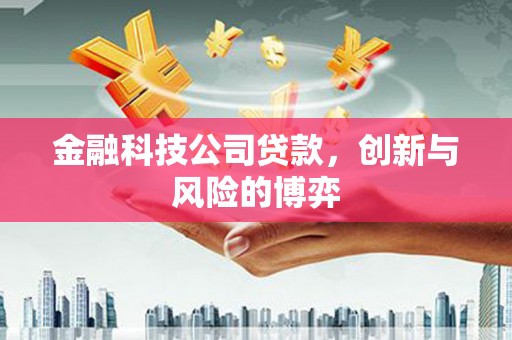 西陵金融科技公司贷款，创新与风险的博弈