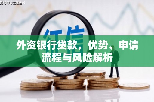 舞阳外资银行贷款，优势、申请流程与风险解析