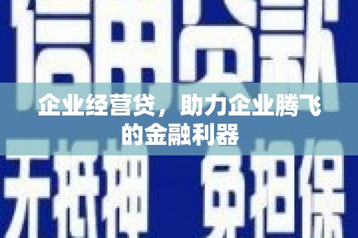 海端企业经营贷，助力企业腾飞的金融利器
