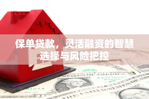 会理保单贷款，灵活融资的智慧选择与风险把控