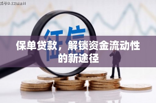 暖暖保单贷款，解锁资金流动性的新途径