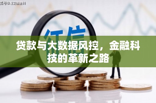 灵宝贷款与大数据风控，金融科技的革新之路