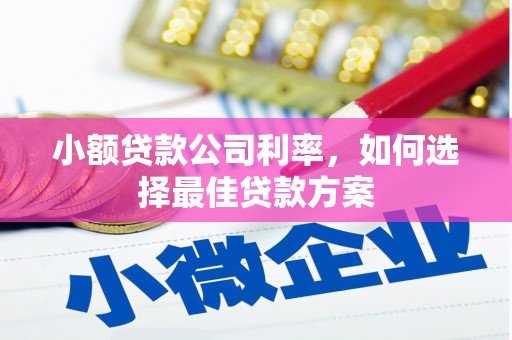 稷山小额贷款公司利率，如何选择最佳贷款方案