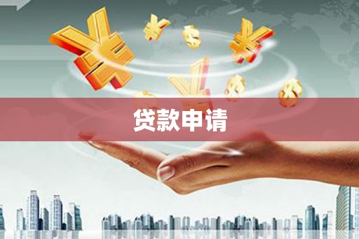 定安贷款申请