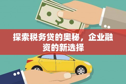 盐源探索税务贷的奥秘，企业融资的新选择