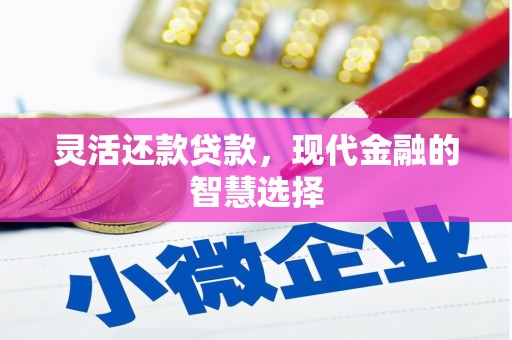 沿河灵活还款贷款，现代金融的智慧选择