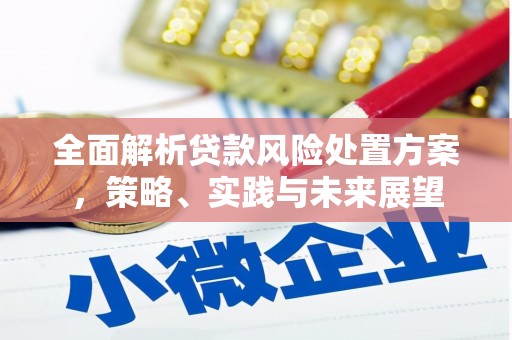 新邱全面解析贷款风险处置方案，策略、实践与未来展望