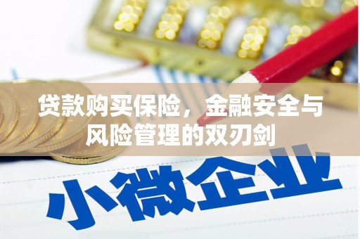 唐县贷款购买保险，金融安全与风险管理的双刃剑