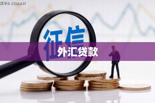 五家渠外汇贷款
