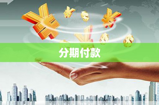 武义分期付款