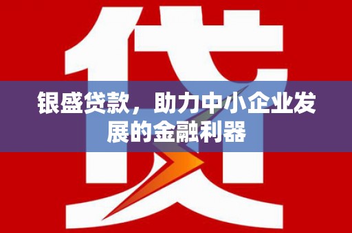 乐都银盛贷款，助力中小企业发展的金融利器