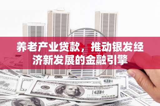 宁明养老产业贷款，推动银发经济新发展的金融引擎
