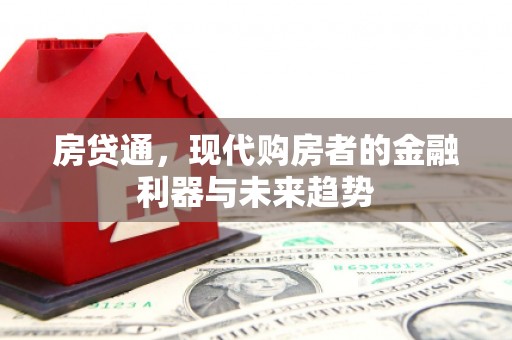 盐津房贷通，现代购房者的金融利器与未来趋势
