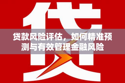 丰县贷款风险评估，如何精准预测与有效管理金融风险