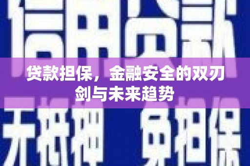 灌阳贷款担保，金融安全的双刃剑与未来趋势