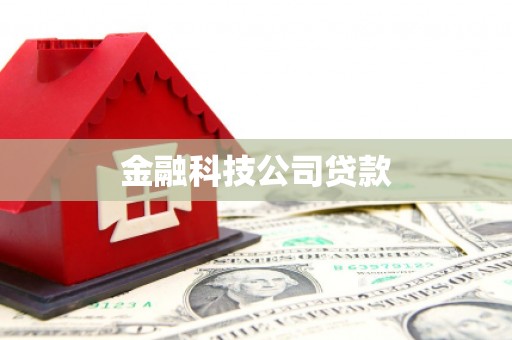 中坜金融科技公司贷款