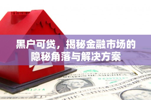 衢州黑户可贷，揭秘金融市场的隐秘角落与解决方案