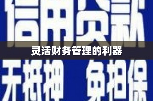大宁灵活财务管理的利器