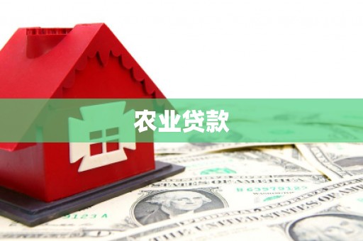 泌阳农业贷款