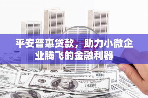将军平安普惠贷款，助力小微企业腾飞的金融利器