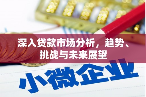 南海深入贷款市场分析，趋势、挑战与未来展望