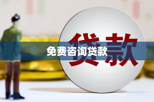美溪免费咨询贷款