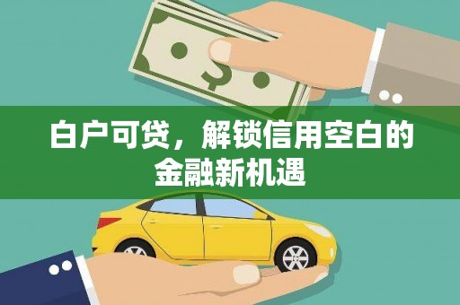 中原白户可贷，解锁信用空白的金融新机遇