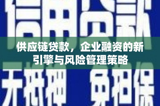 万丹供应链贷款，企业融资的新引擎与风险管理策略