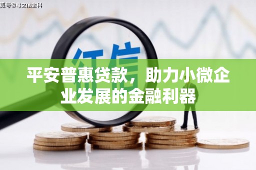 丽水平安普惠贷款，助力小微企业发展的金融利器