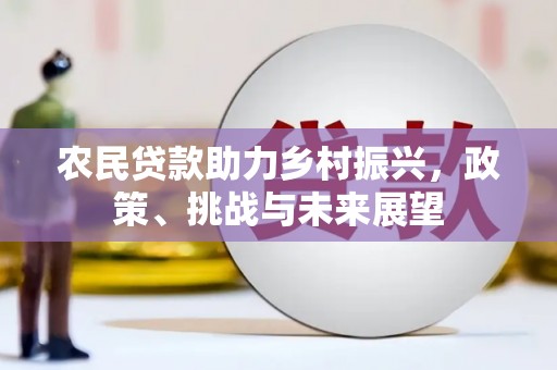 大方农民贷款助力乡村振兴，政策、挑战与未来展望