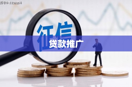 新都贷款推广