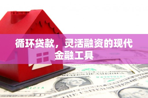 安县循环贷款，灵活融资的现代金融工具