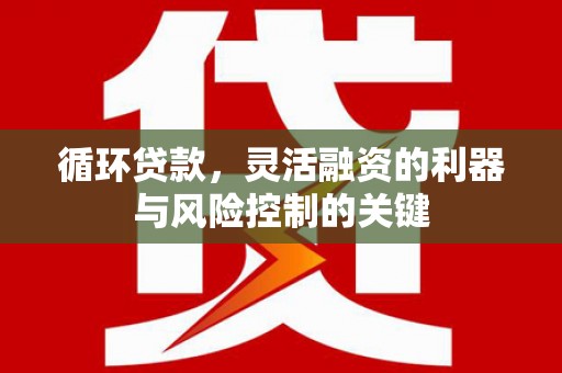 永嘉循环贷款，灵活融资的利器与风险控制的关键