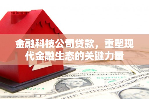 涉县金融科技公司贷款，重塑现代金融生态的关键力量