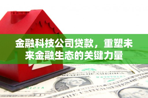 溪口金融科技公司贷款，重塑未来金融生态的关键力量