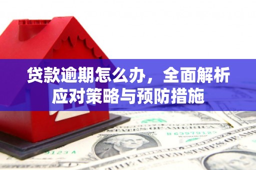 凌河贷款逾期怎么办，全面解析应对策略与预防措施