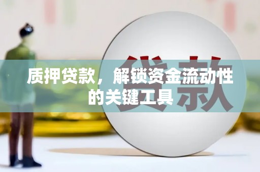 泾源质押贷款，解锁资金流动性的关键工具