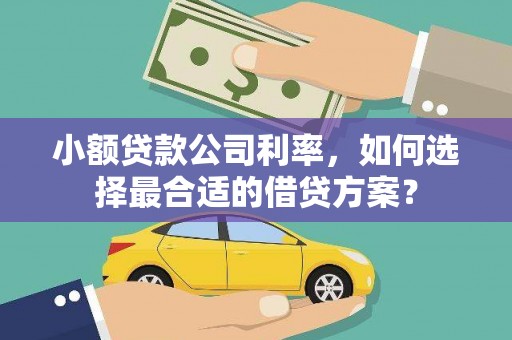西昌小额贷款公司利率，如何选择最合适的借贷方案？