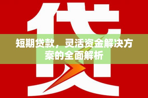 裕民短期贷款，灵活资金解决方案的全面解析