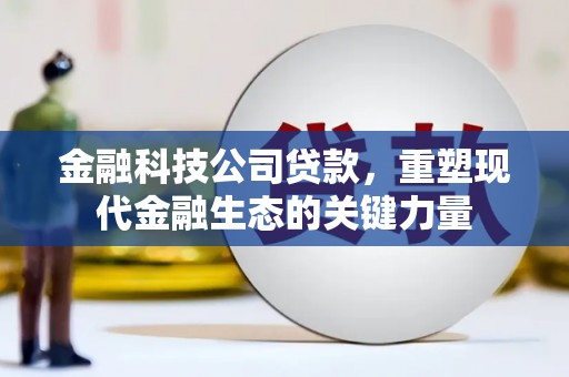 且末金融科技公司贷款，重塑现代金融生态的关键力量