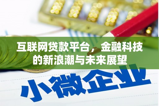 漾濞互联网贷款平台，金融科技的新浪潮与未来展望