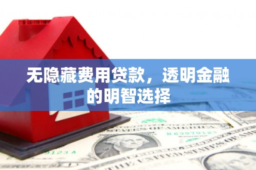 桑日无隐藏费用贷款，透明金融的明智选择