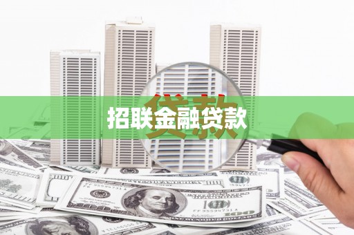金东招联金融贷款
