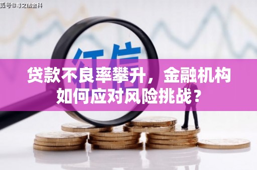 旌阳贷款不良率攀升，金融机构如何应对风险挑战？