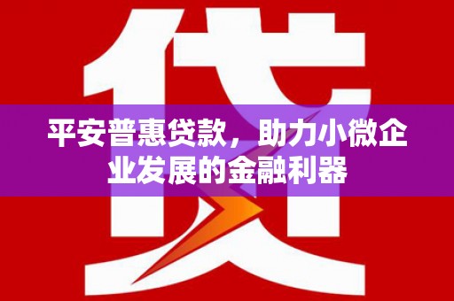 南充平安普惠贷款，助力小微企业发展的金融利器