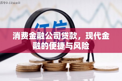 善化消费金融公司贷款，现代金融的便捷与风险